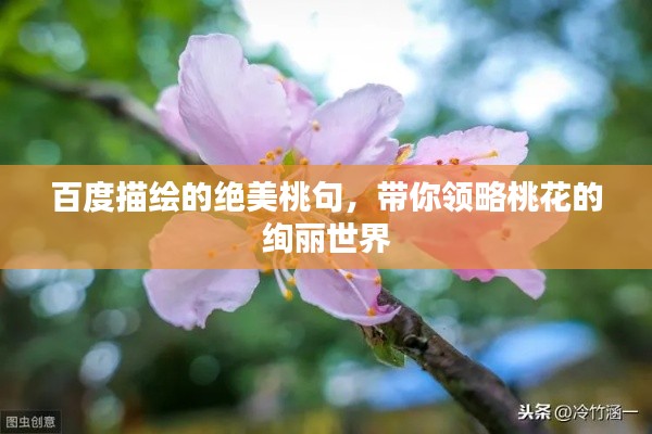 百度描繪的絕美桃句，帶你領(lǐng)略桃花的絢麗世界