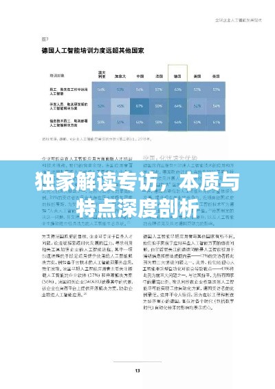 獨(dú)家解讀專訪，本質(zhì)與特點(diǎn)深度剖析