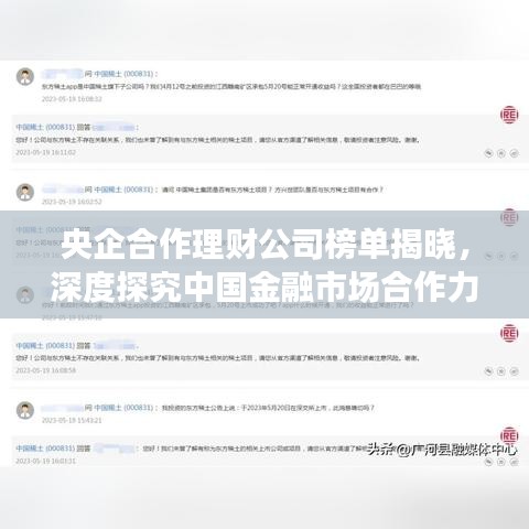 央企合作理財(cái)公司榜單揭曉，深度探究中國(guó)金融市場(chǎng)合作力量