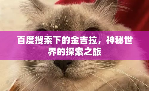 百度搜索下的金吉拉，神秘世界的探索之旅
