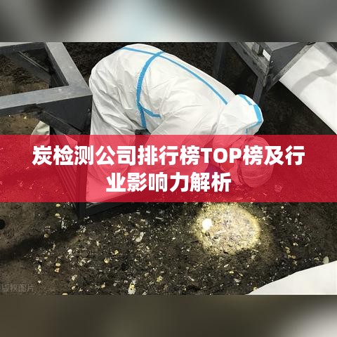 炭檢測公司排行榜TOP榜及行業(yè)影響力解析