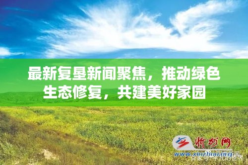 最新復(fù)墾新聞聚焦，推動(dòng)綠色生態(tài)修復(fù)，共建美好家園