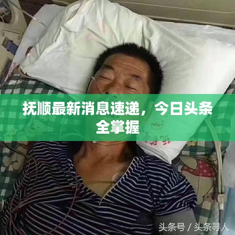 撫順最新消息速遞，今日頭條全掌握