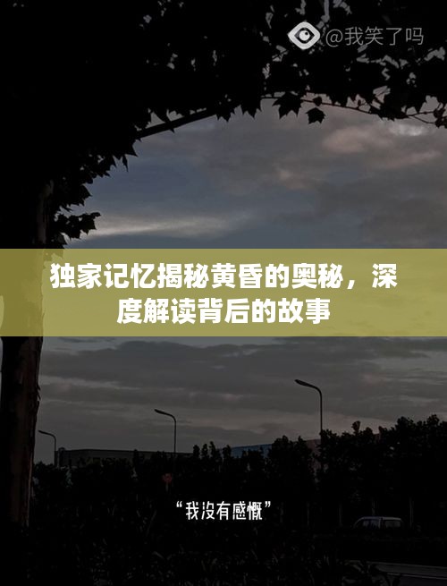 張皇失措 第2頁(yè)