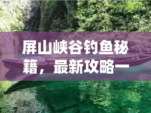 屏山峽谷釣魚秘籍，最新攻略一網(wǎng)打盡！