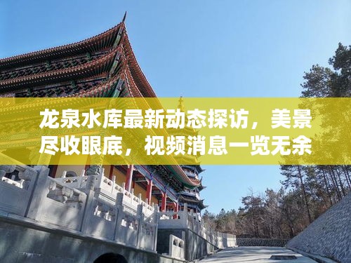 龍泉水庫最新動態(tài)探訪，美景盡收眼底，視頻消息一覽無余