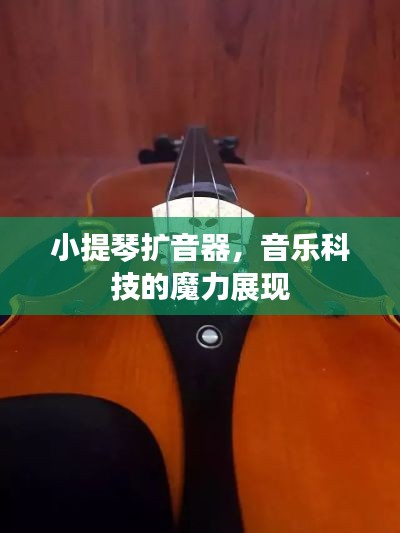小提琴擴音器，音樂科技的魔力展現(xiàn)