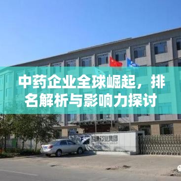 中藥企業(yè)全球崛起，排名解析與影響力探討