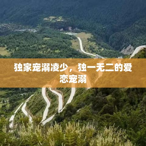 獨家寵溺凌少，獨一無二的愛戀寵溺