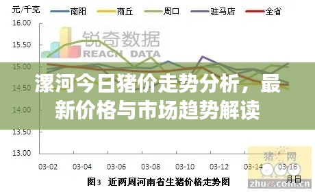 漯河今日豬價(jià)走勢分析，最新價(jià)格與市場趨勢解讀