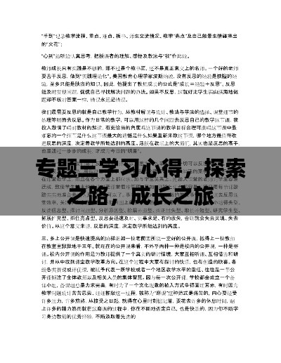 專題三學(xué)習(xí)心得，探索之路，成長之旅