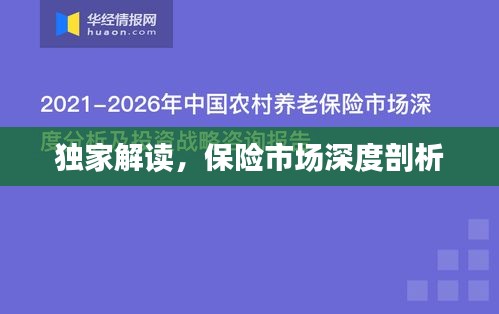 獨(dú)家解讀，保險(xiǎn)市場深度剖析