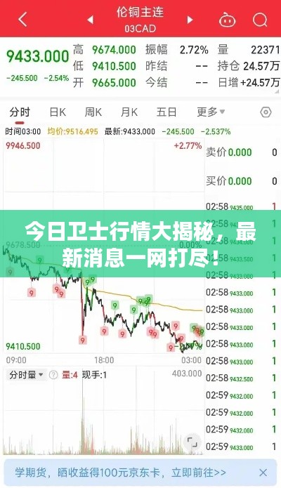 今日衛(wèi)士行情大揭秘，最新消息一網(wǎng)打盡！