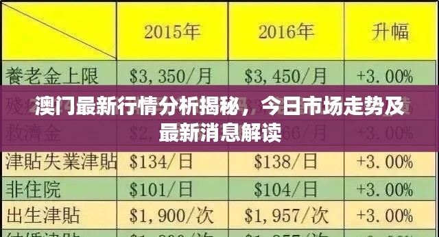 澳門最新行情分析揭秘，今日市場(chǎng)走勢(shì)及最新消息解讀