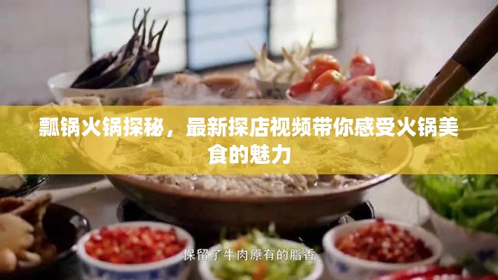 瓢鍋火鍋探秘，最新探店視頻帶你感受火鍋美食的魅力