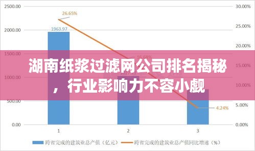 湖南紙漿過濾網(wǎng)公司排名揭秘，行業(yè)影響力不容小覷