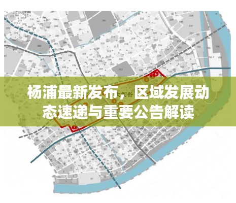 楊浦最新發(fā)布，區(qū)域發(fā)展動態(tài)速遞與重要公告解讀