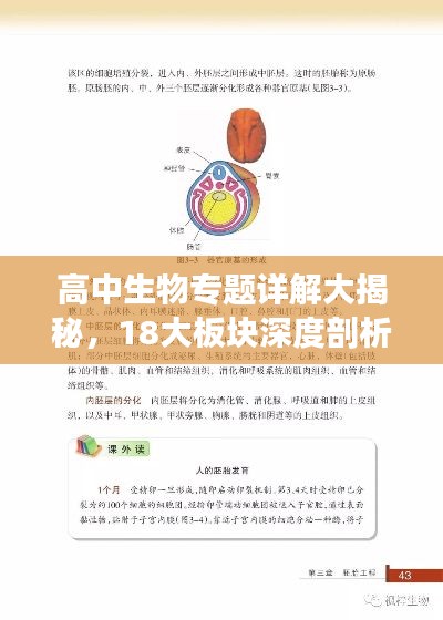 高中生物專題詳解大揭秘，18大板塊深度剖析