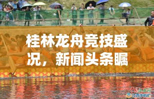 桂林龍舟競技盛況，新聞頭條矚目聚焦
