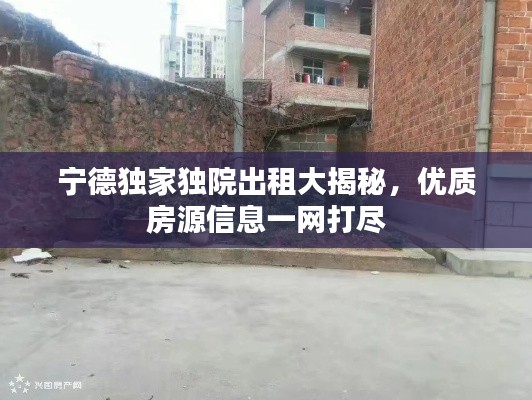 寧德獨(dú)家獨(dú)院出租大揭秘，優(yōu)質(zhì)房源信息一網(wǎng)打盡