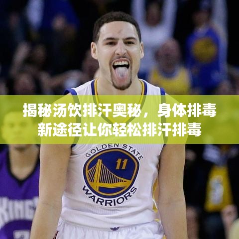 揭秘湯飲排汗奧秘，身體排毒新途徑讓你輕松排汗排毒