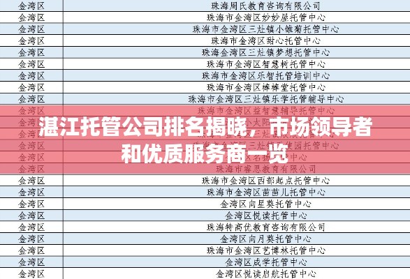 湛江托管公司排名揭曉，市場領(lǐng)導(dǎo)者和優(yōu)質(zhì)服務(wù)商一覽