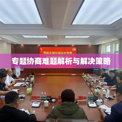 專題協(xié)商難題解析與解決策略