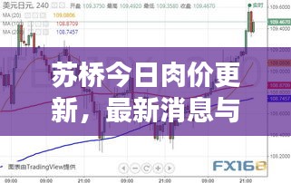 蘇橋今日肉價(jià)更新，最新消息與市場(chǎng)走勢(shì)分析