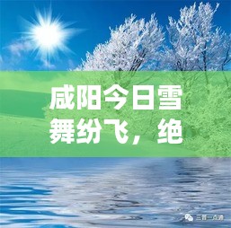 咸陽今日雪舞紛飛，絕美冬日雪景視頻欣賞