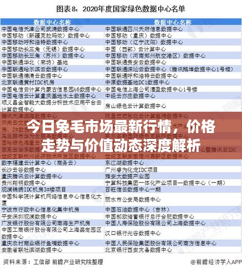 今日兔毛市場(chǎng)最新行情，價(jià)格走勢(shì)與價(jià)值動(dòng)態(tài)深度解析
