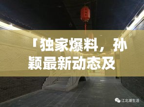 「獨(dú)家爆料，孫穎最新動(dòng)態(tài)及消息速遞」