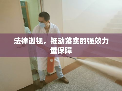 法律巡視，推動落實的強(qiáng)效力量保障