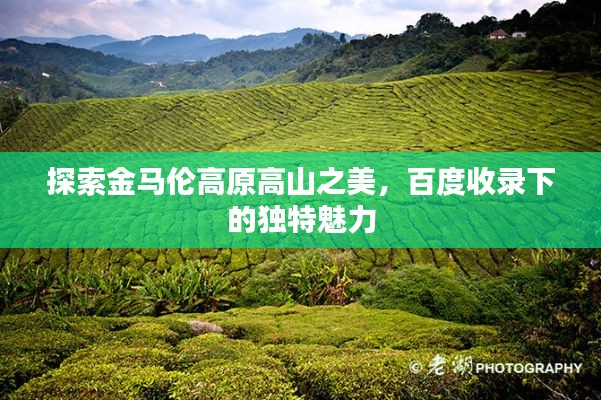 探索金馬倫高原高山之美，百度收錄下的獨(dú)特魅力