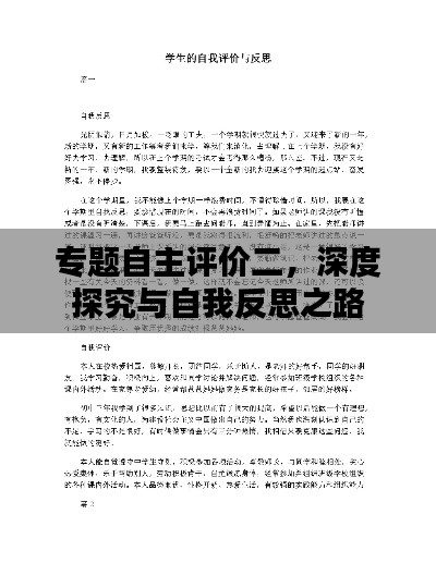 專題自主評(píng)價(jià)二，深度探究與自我反思之路
