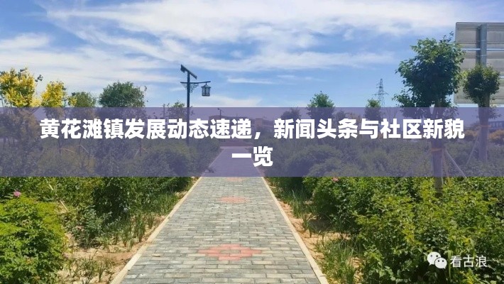 黃花灘鎮(zhèn)發(fā)展動態(tài)速遞，新聞頭條與社區(qū)新貌一覽