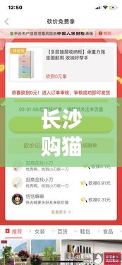 長(zhǎng)沙購(gòu)貓砍價(jià)事件內(nèi)幕揭秘，最新進(jìn)展與消息匯總