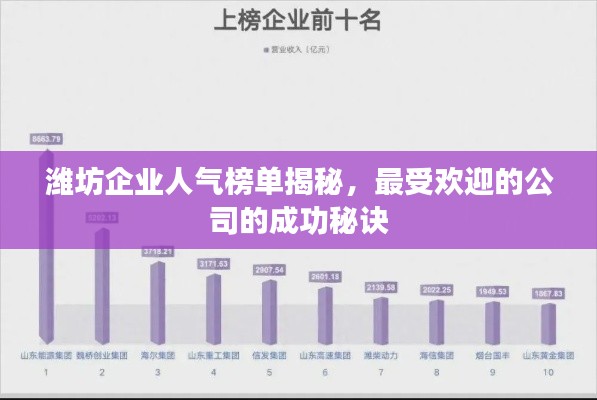 濰坊企業(yè)人氣榜單揭秘，最受歡迎的公司的成功秘訣