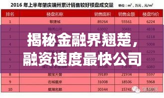 揭秘金融界翹楚，融資速度最快公司排名榜單重磅出爐！