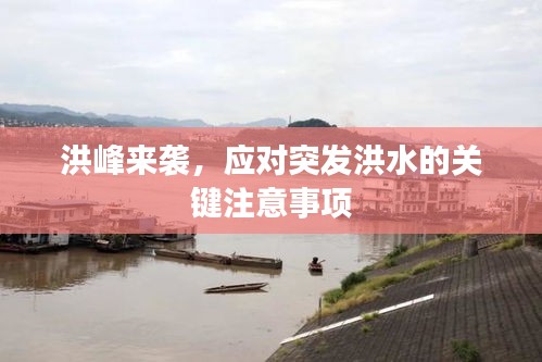 洪峰來(lái)襲，應(yīng)對(duì)突發(fā)洪水的關(guān)鍵注意事項(xiàng)
