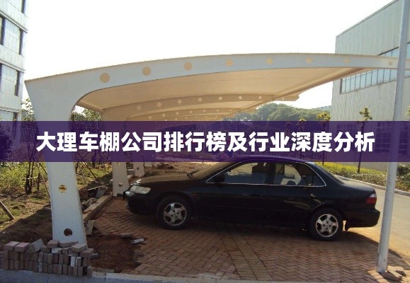 大理車棚公司排行榜及行業(yè)深度分析