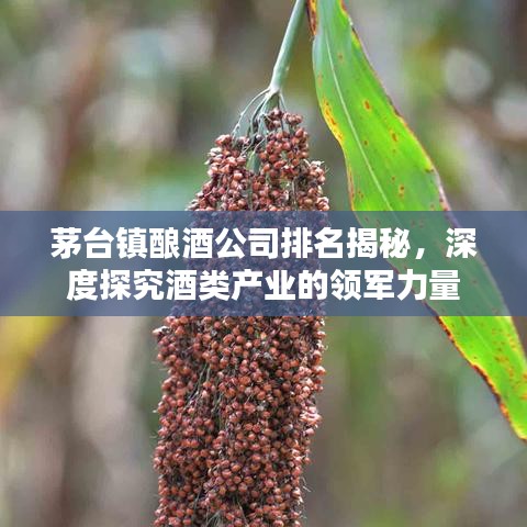 茅臺鎮(zhèn)釀酒公司排名揭秘，深度探究酒類產(chǎn)業(yè)的領(lǐng)軍力量