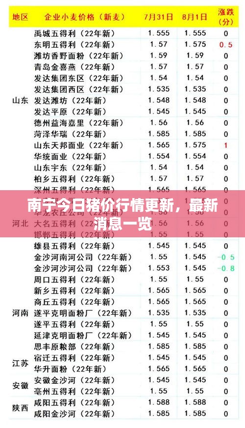 南寧今日豬價行情更新，最新消息一覽