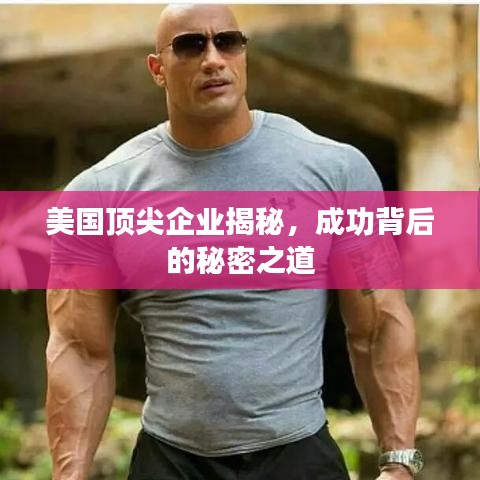 美國(guó)頂尖企業(yè)揭秘，成功背后的秘密之道