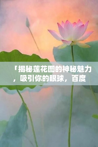 「揭秘蓮花圖的神秘魅力，吸引你的眼球，百度一搜便知！」