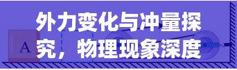 外力變化與沖量探究，物理現(xiàn)象深度解析