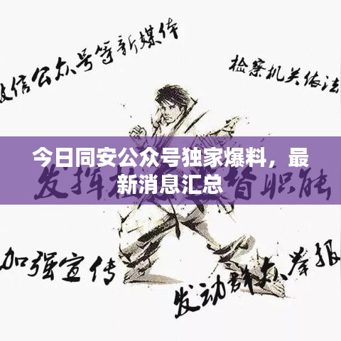 今日同安公眾號(hào)獨(dú)家爆料，最新消息匯總