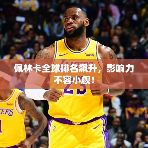 佩林卡全球排名飆升，影響力不容小覷！