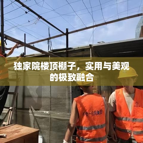 獨家院樓頂棚子，實用與美觀的極致融合
