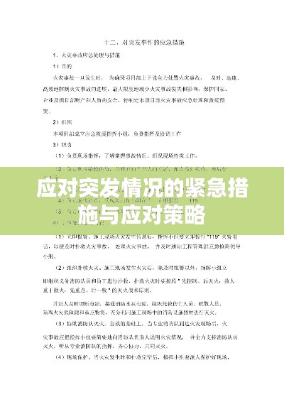 應(yīng)對(duì)突發(fā)情況的緊急措施與應(yīng)對(duì)策略