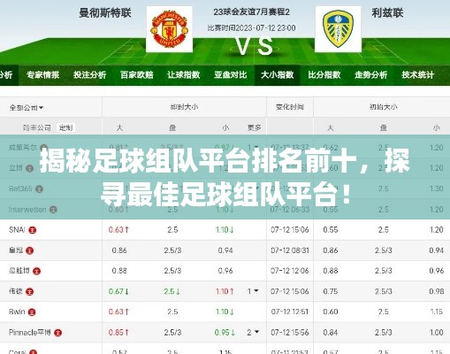 揭秘足球組隊平臺排名前十，探尋最佳足球組隊平臺！